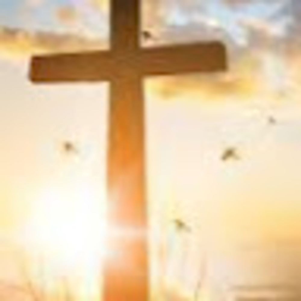 Meet your Posher, Tamara